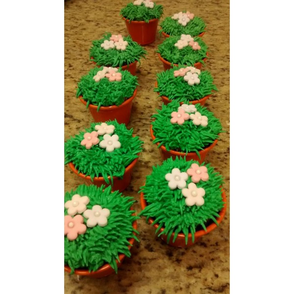 Cupcakes Encomendas 